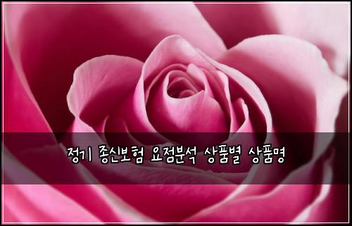 정기 종신보험 요점분석  상품별 상품명
