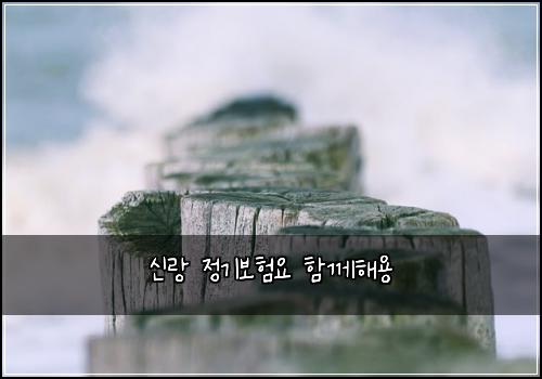신랑 정기보험요 함께해용
