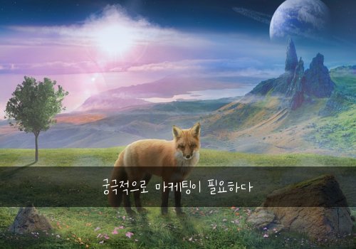 궁극적으로 마케팅이 필요하다