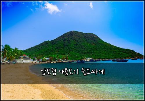 암보험 내용보기  쉽고싸게