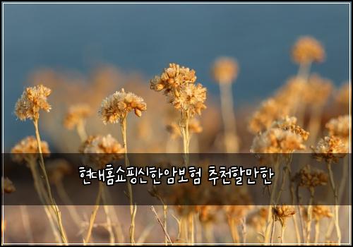 현대홈쇼핑신한암보험 추천할만한 
