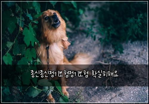 ์ข
์ ์ข
์ ์ ๊ธฐ๋ณดํ์ ๊ธฐ๋ณดํ ํ์คํํด์