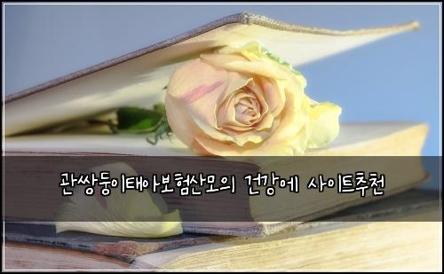 관쌍둥이태아보험산모의 건강에 사이트추천