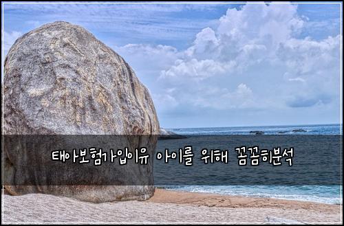 태아보험가입이유 아이를 위해 꼼꼼히분석
