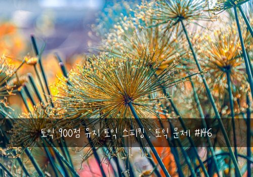 토익 900점 유지 토익 스피킹 : 토익 문제 #146