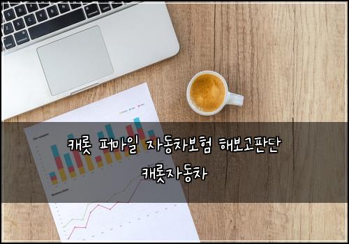 캐롯 퍼마일 자동차보험 해보고판단  캐롯자동차