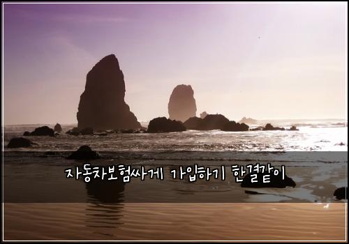 자동차보험싸게 가입하기 한결같이