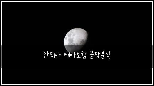 안되나 태아보험 곧장분석 