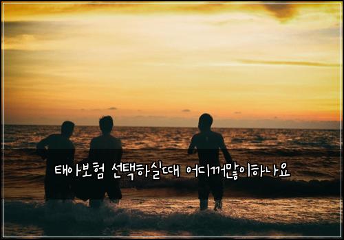 태아보험 선택하실때  어디꺼많이하나요
