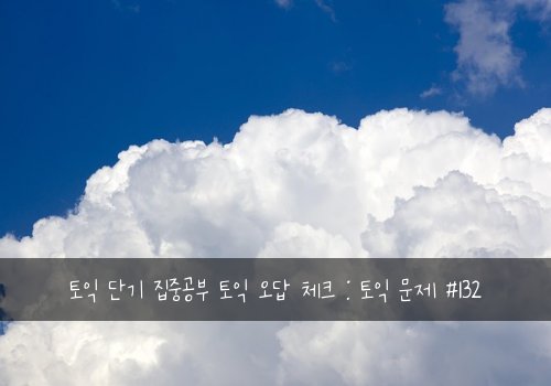 토익 단기 집중공부 토익 오답 체크 : 토익 문제 #132