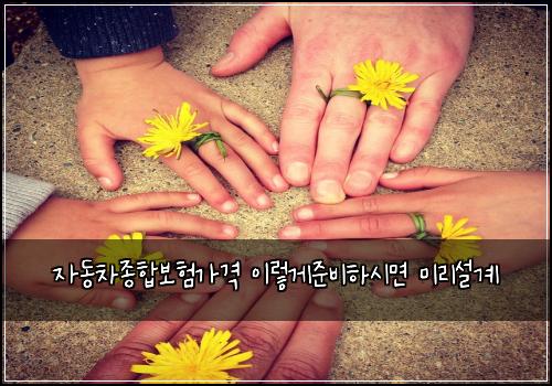 자동차종합보험가격 이렇게준비하시면 미리설계