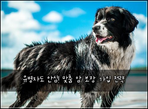 유병자도 안심! 맞춤 암 보장 가입 전략