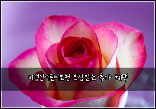 ๋น๊ฐฑ์ ์ด๋ฆฐ์ด๋ณดํ ๋ณด์ฅ๋ฐ์ฃ ์ถ๊ฐ ํํ