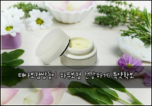 태아보험쌍둥이 하루보험 건강하게 특약확보