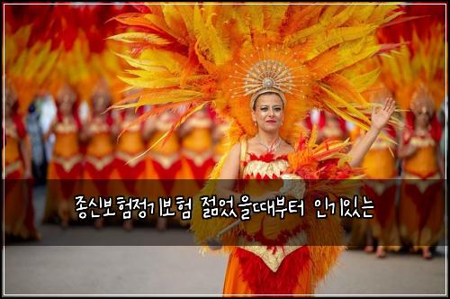 종신보험정기보험 젊었을때부터 인기있는