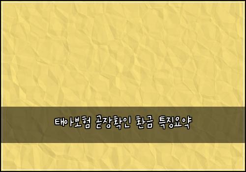 태아보험 곧장확인  환금 특징요약