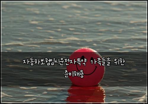 자동차보험임시운전자특약 가족들을 위한 준비해용