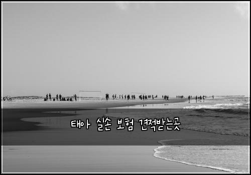 태아 실손 보험 견적받는곳 