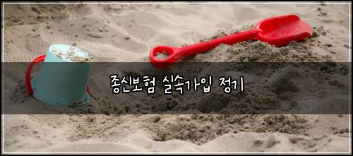 종신보험 실속가입  정기