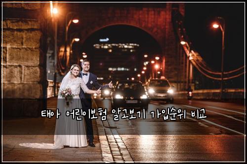 태아 어린이보험 알고보기  가입순위 비교