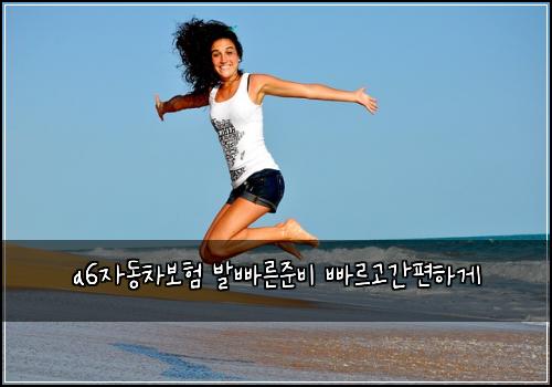 a6μλ차보ν λ°λΉ λ₯Έμ€λΉ λΉ λ₯΄κ³ κ°νΈνκ²