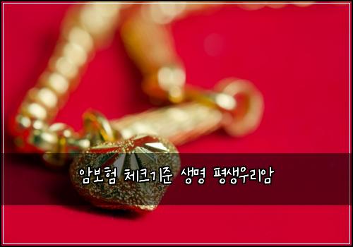 μ보ν 체ν¬κΈ°μ€ μλͺ
νμμ°λ¦¬μ
