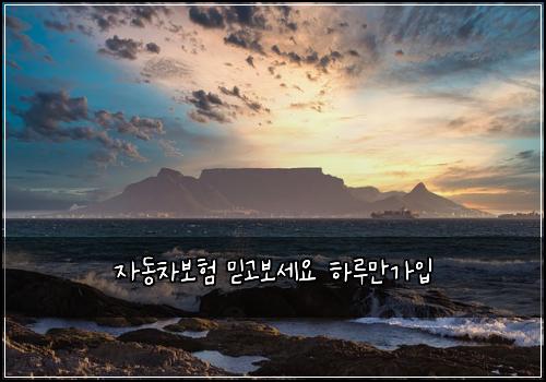 μλ차보ν λ―Ώκ³ λ³΄μΈμ ν루λ§κ°μ