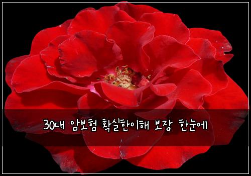 30๋ ์๋ณดํ ํ์คํ์ดํด ๋ณด์ฅ ํ๋์