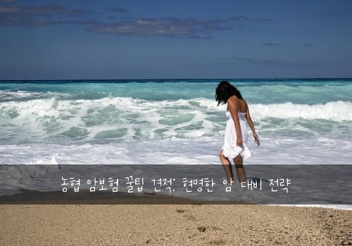 농협 암보험 꿀팁 견적: 현명한 암 대비 전략