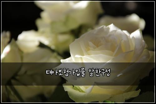 태아보험가입률 알찬구성
