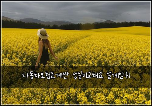 자동차보험료계싼 성실비교해요 설계받귀
