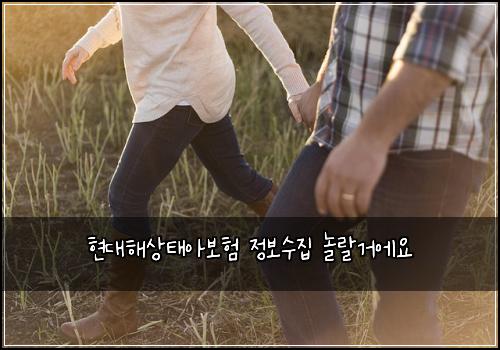 현대해상태아보험 정보수집  놀랄거에요