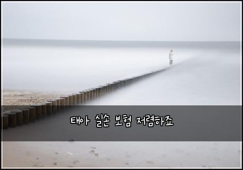 태아 실손 보험 저렴하죠 