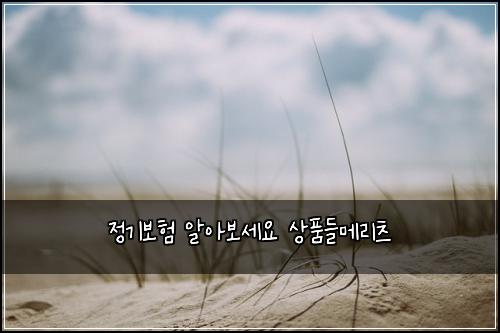 정기보험 알아보세요  상품들메리츠