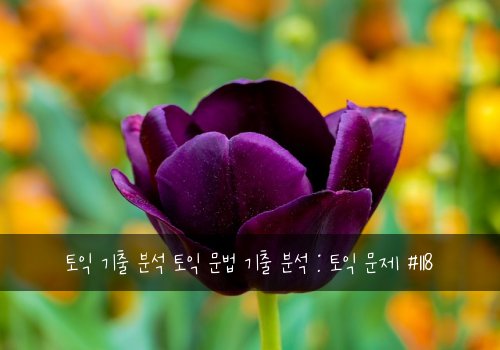 토익 기출 분석 토익 문법 기출 분석 : 토익 문제 #118