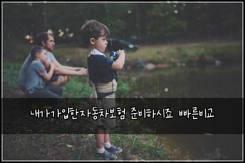 내가가입한자동차보험 준비하시죠  빠른비교