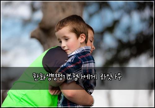 한화생명정기보험나에게 롸잇나우
