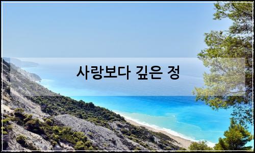 오늘의 이미지