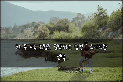 차 두 대, 보험료 절약하는 방법 : 스마트한 선택