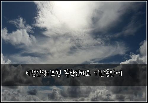 ๋น๊ฐฑ์ ์ ๊ธฐ๋ณดํ ๊ผญํ์ธํด์ ๊ธฐ๊ฐ๋์์