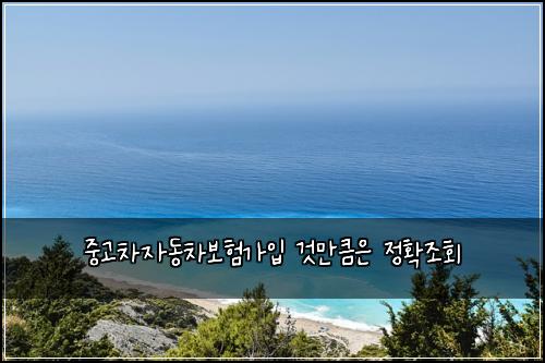 중고차자동차보험가입 것만큼은 정확조회