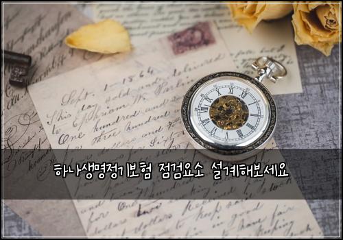 하나생명정기보험 점검요소  설계해보세요