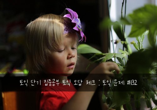 토익 단기 집중공부 토익 오답 체크 : 토익 문제 #132