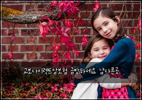 교보다이렉트암보험 금방하세요  남다른곳
