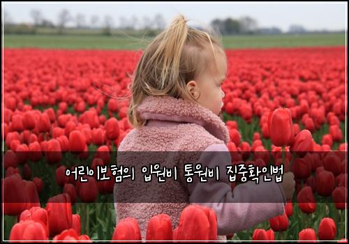 어린이보험의 입원비 통원비 집중확인법