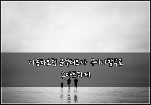 자동차보험 분석해보자  무이자할부로 스마트하게