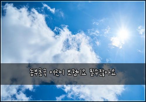 동부흥국 어린이 보험이요 필수잖아요