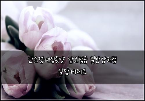 난소경계성종양 암보험금 일반암처럼 알맞게체크