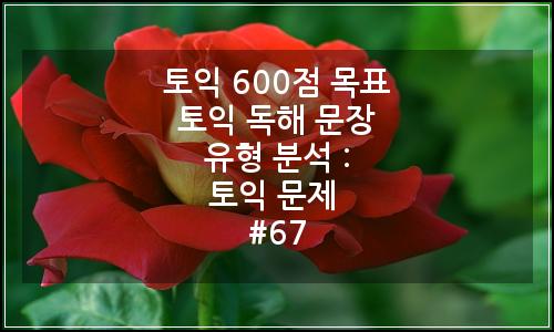 오늘의 이미지