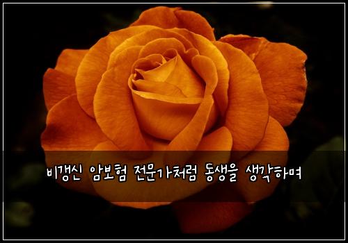 비갱신 암보험 전문가처럼  동생을 생각하며